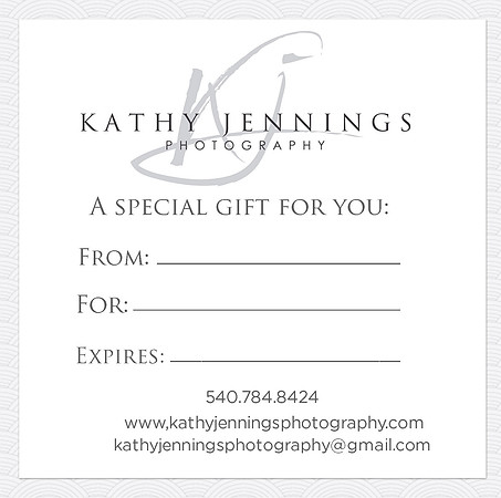 5_X_15 trifold template external